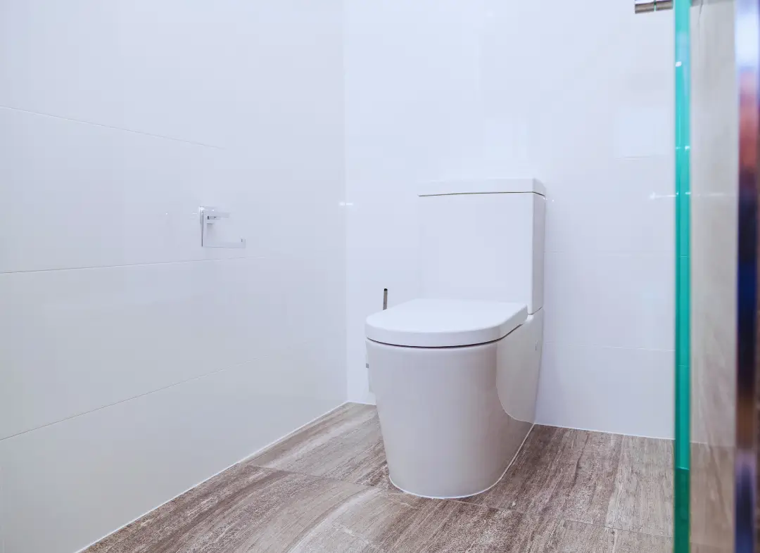 Remplacement de wc Launaguet